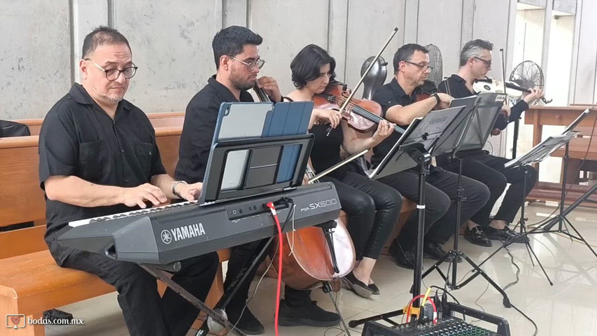 Mi corazón encantado 