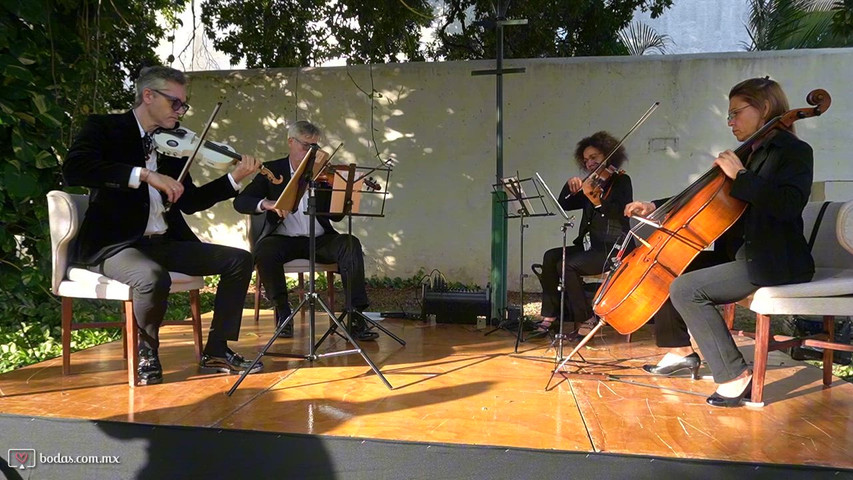 Música en vivo - recepción de invitados