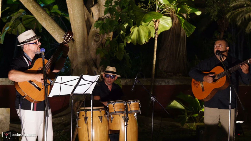 Trova de guitarras