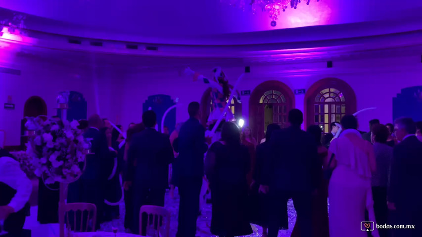 Bodas únicas 