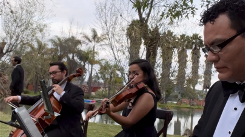 Trío Instrumental Boda Civil