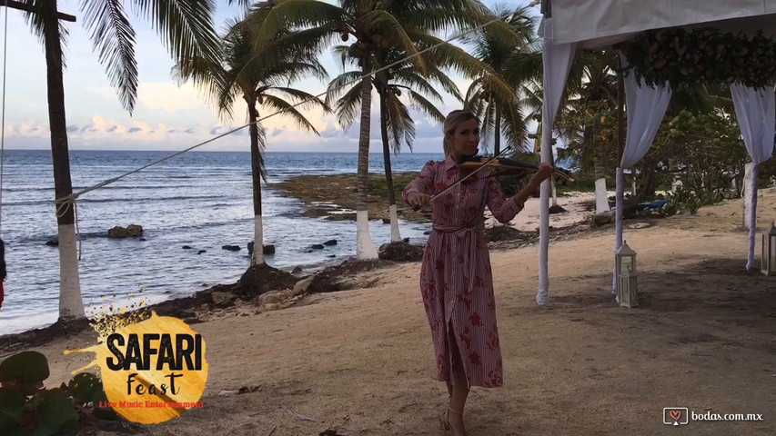 Violin Safari Feast