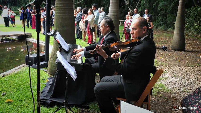 Ensambles musicales piano y violín