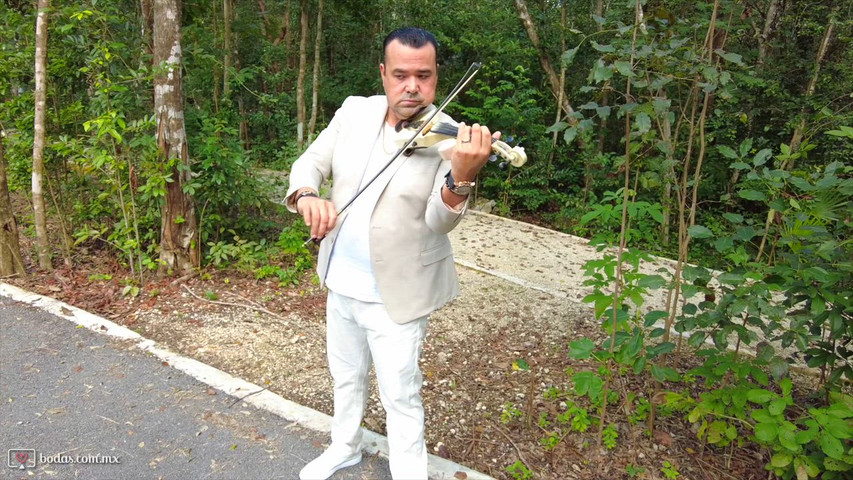 Violin Versátil Donde el amor se convierte en música.
