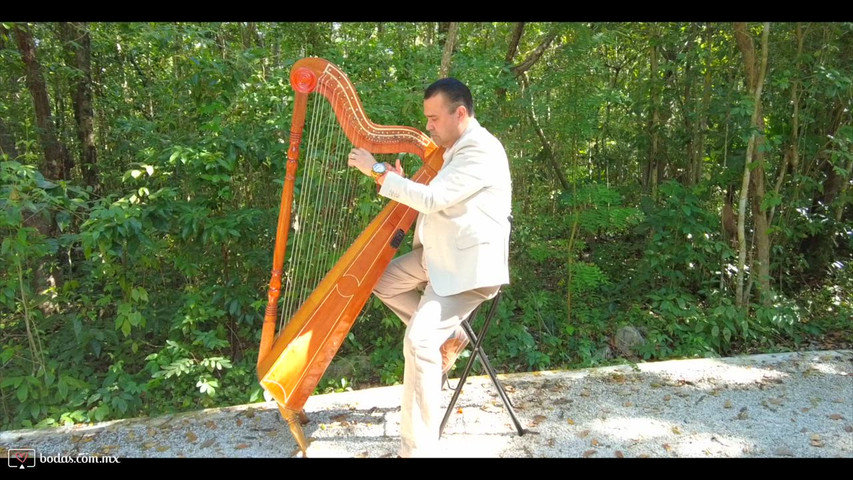 Arpa en Vivo para Bodas | Música Elegante para Ceremonias 