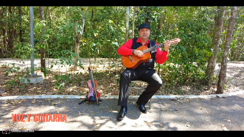 Flamenco Solista | Guitarra, Voz y Violín en Vivo 