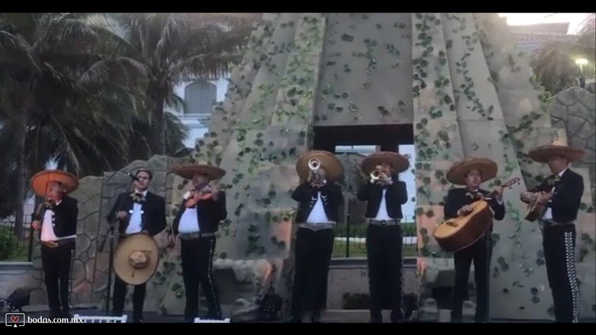 Mariachi para Bodas | Música Mexicana en Vivo 