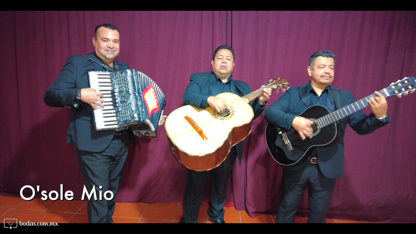 Trío Internacional en Vivo | Música Romántica para Bodas 