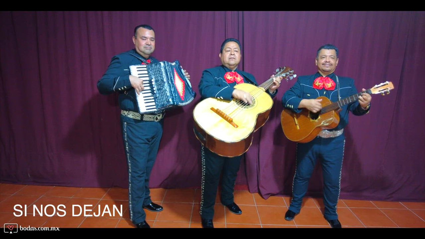 Trío Mexicano para Bodas | Acordeón, Guitarrón y Vihuela 