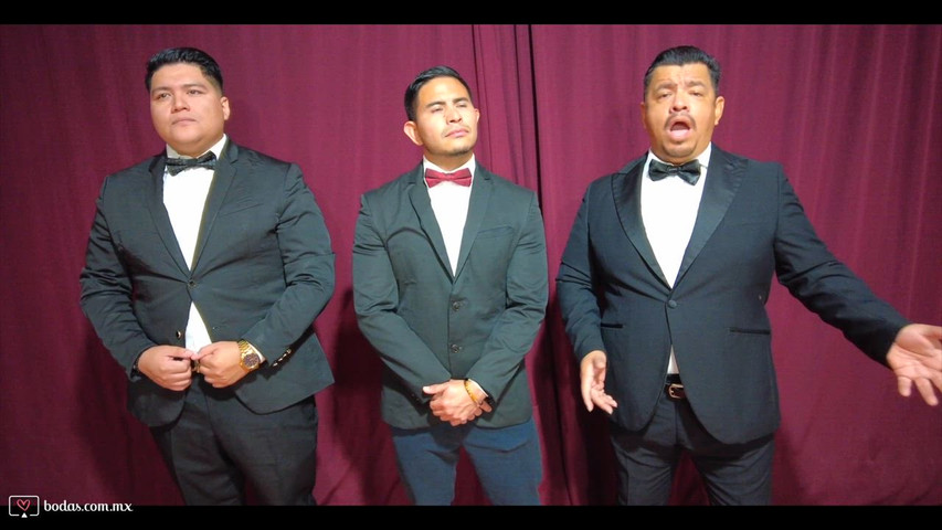 International Tenors | Trío de Tenores para Bodas 