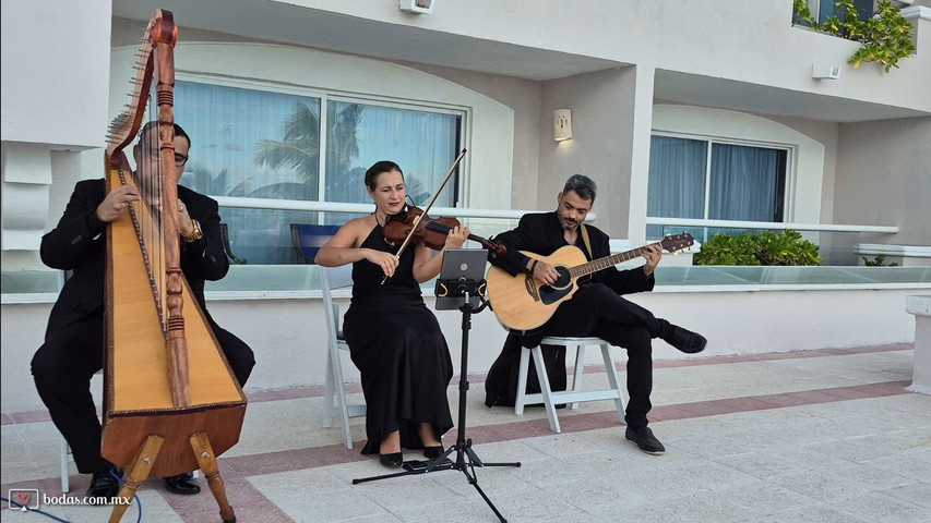 Trío de Cuerdas para Bodas | Música Elegante en Vivo 