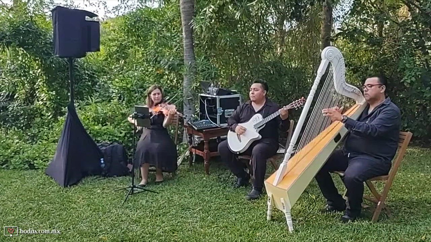 Elegante trío de cuerdas en boda