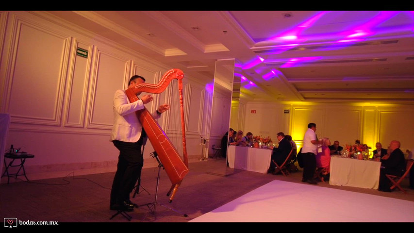 Arpa en Vivo para Bodas | Música Elegante para Ceremonias 