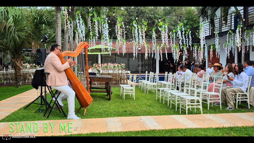 Arpa en Vivo para tu Boda