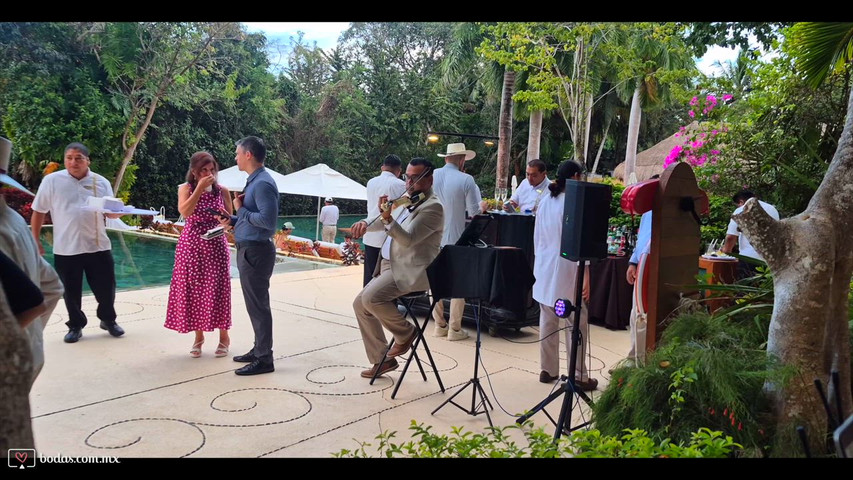 Violín elegante para cóctel y boda 