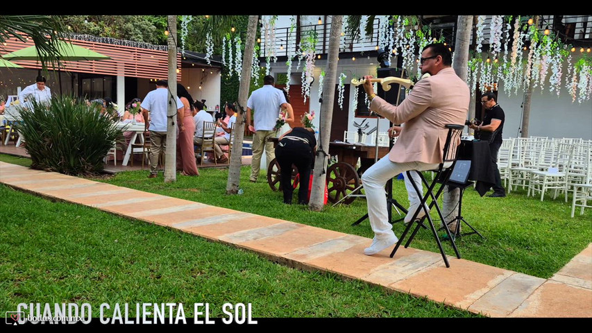 Violín elegante para ceremonia y cóctel