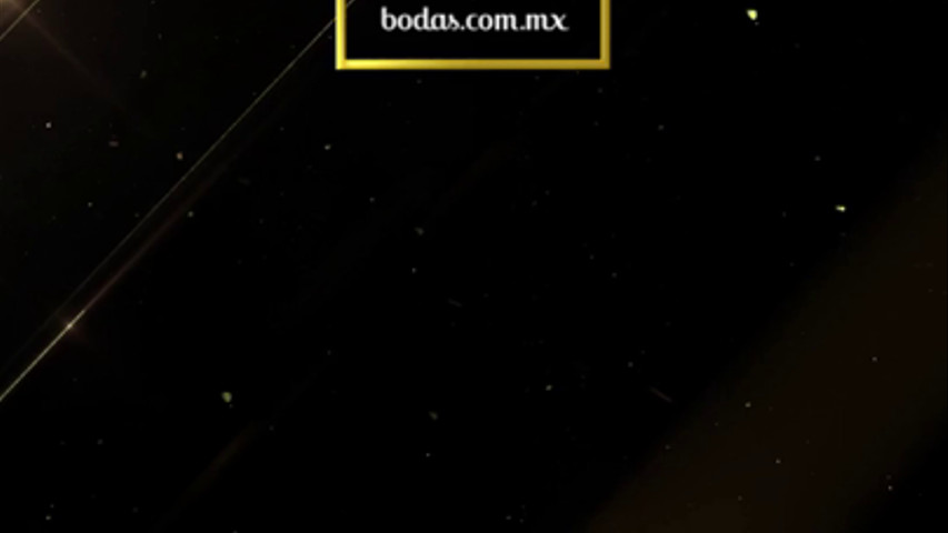 Gracias por su confianza