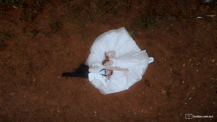 Ale & Luis - Trash the Dress en Bosque