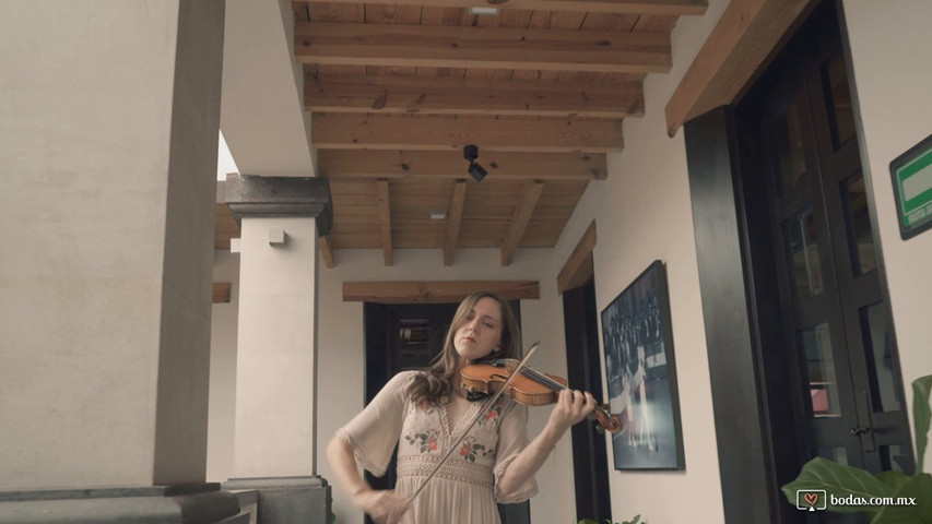 Naomi Wilmshurst - Violinista