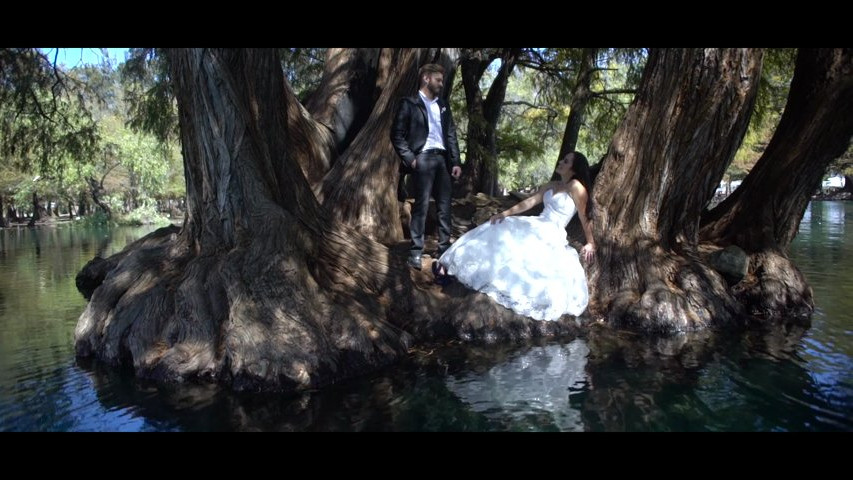 Trash the dress