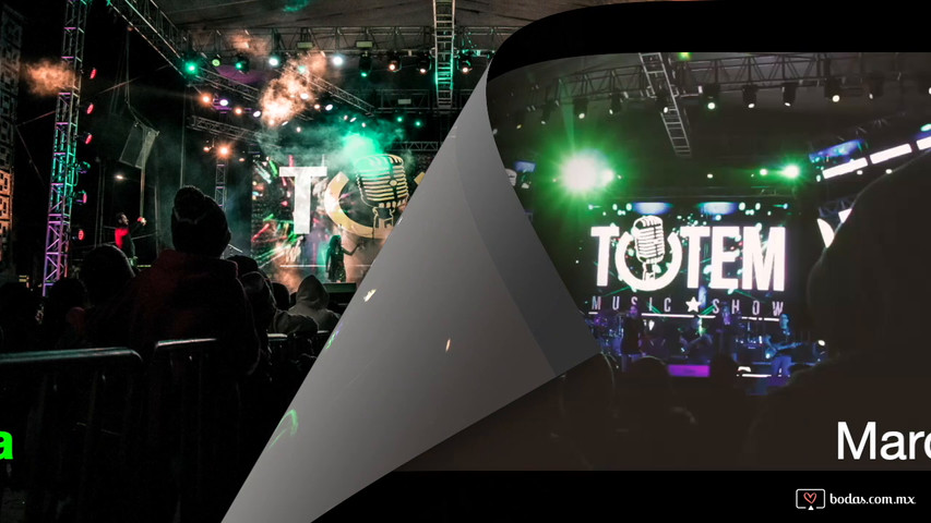 Totem promocional 