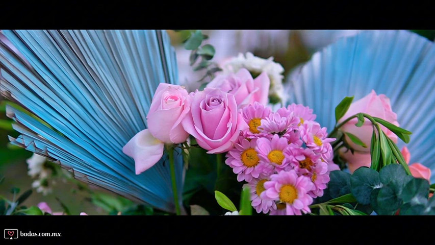 xv años Ximena 