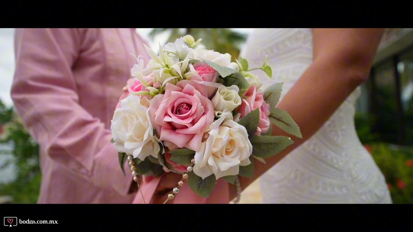 Boda Olivia & Victor