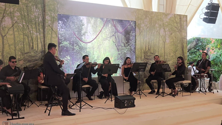 Violin performance