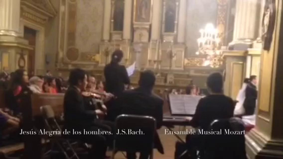   Ensamble Musical Mozart