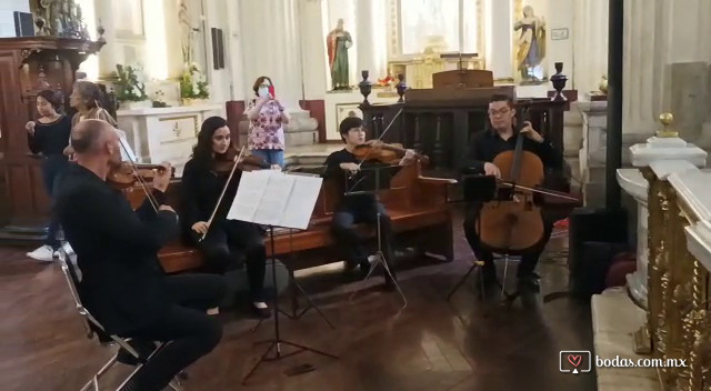Cuarteto de cuerdas