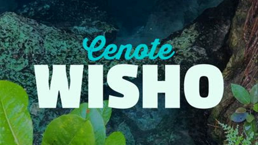 CENOTE WISHO