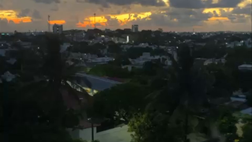 Vistas
