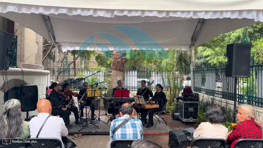 Renta de audio