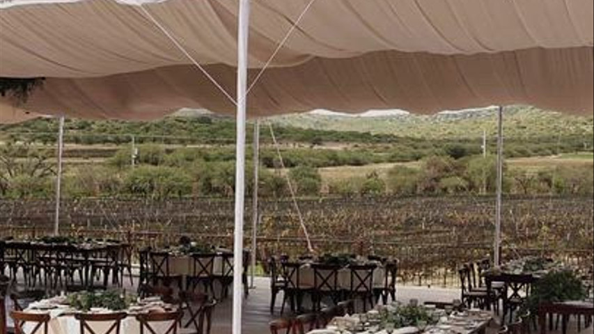 Boda en Viñedo