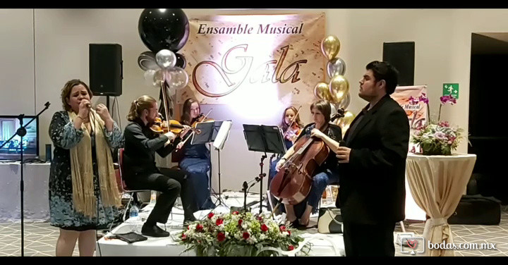 Ensamble Musical Gala