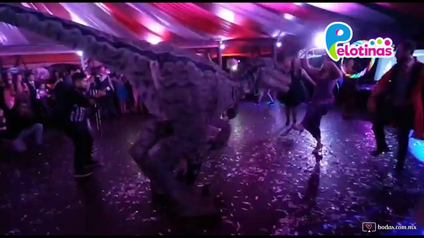 Show dinosaurio animatrónico en bodas