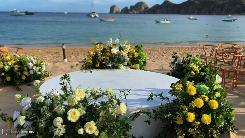 Montaje Boda Casa Dorada Cabo San Lucas