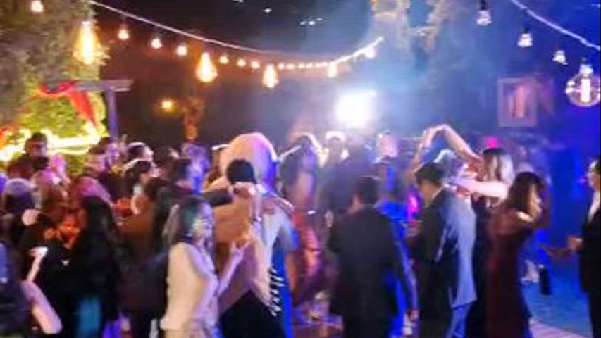 Y el simi baila asi 