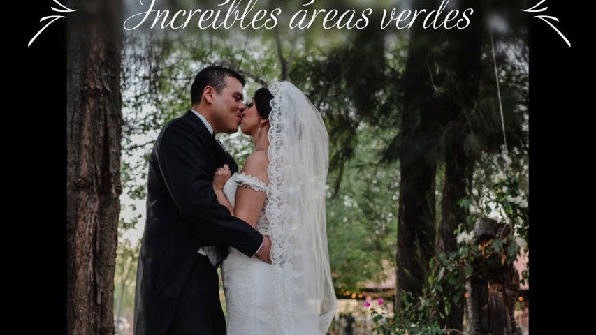 Bodas mágicas en Tierra Morena