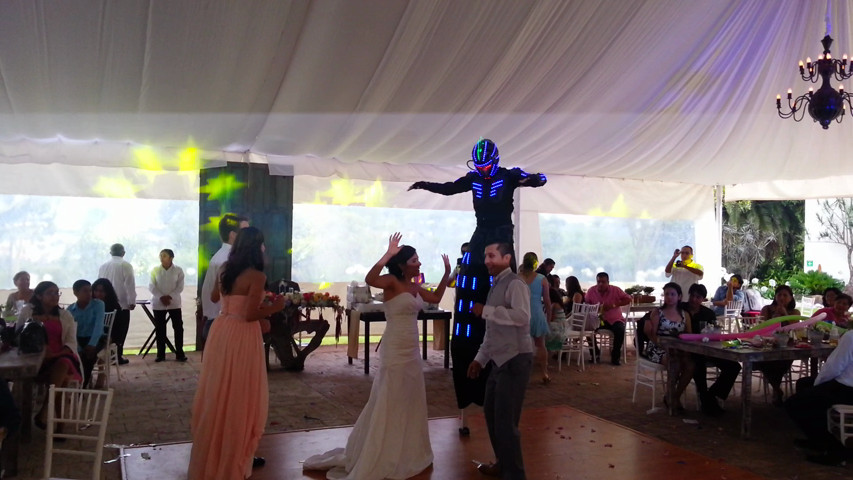 Bodas con animación