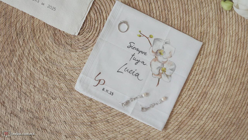 Lu pedro luxury destination wedding at villa isla blanca highlights 1080p 