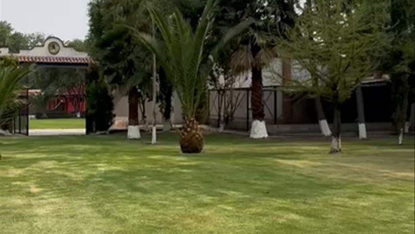 Jardín