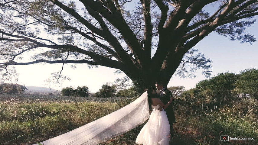 Bodas en Tequila