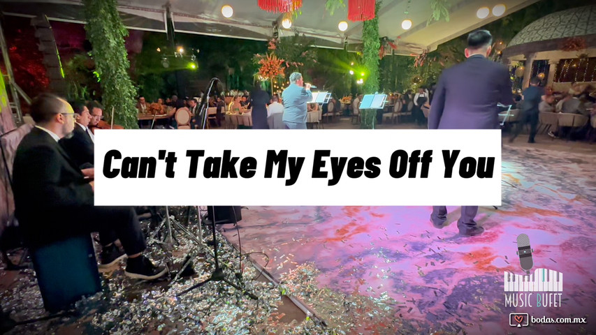 Cant take my eyes