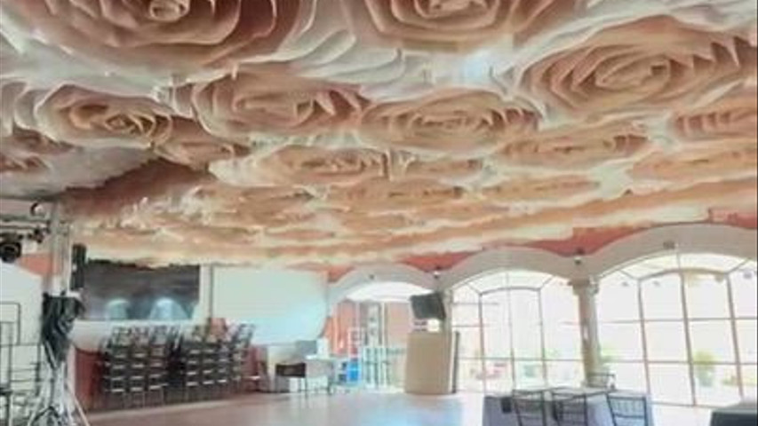 Aquí sucede la magia!