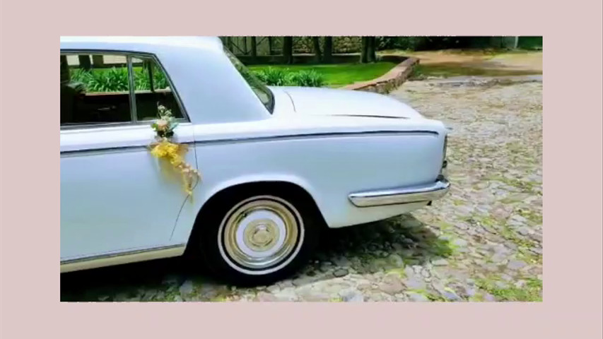 Rolls Royce Silver Shadow blanco 