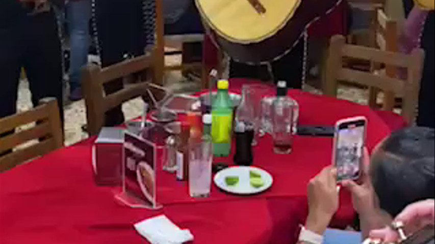 Mariachi Sonidos De Mi Tierra