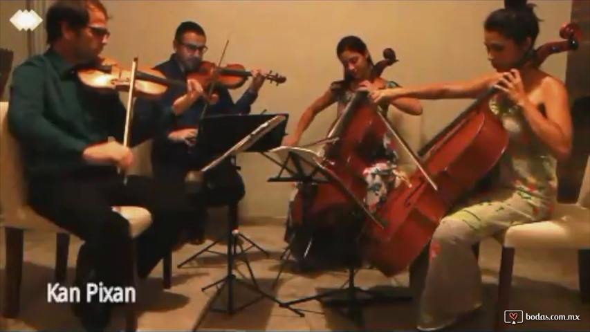 Cuarteto de cuerdas