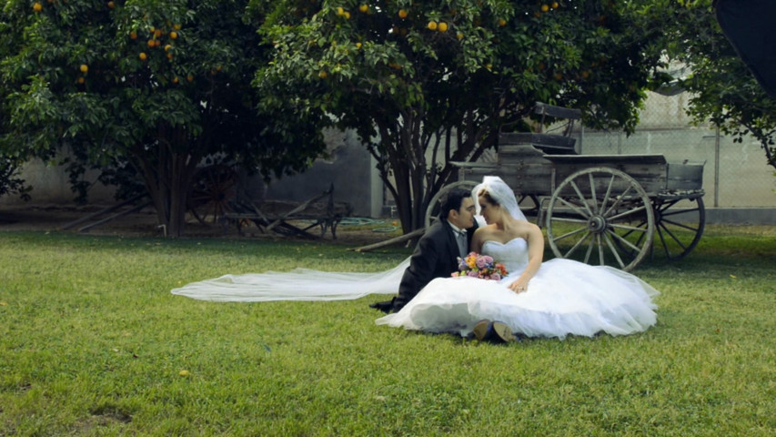 Boda Ivonne + Guillermo