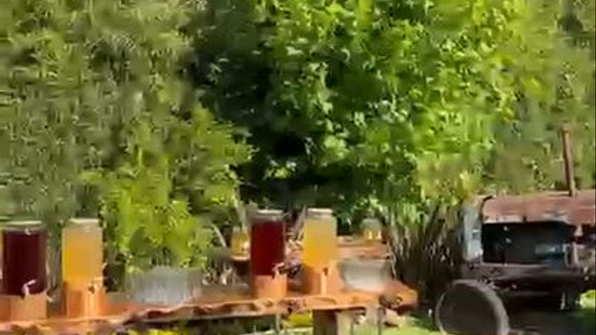 Jardin Altamira